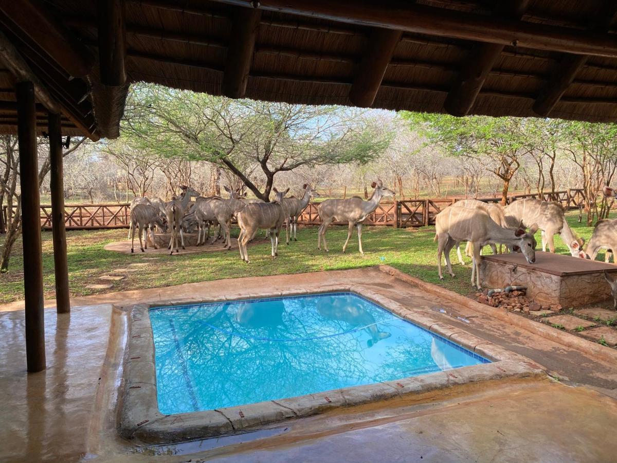 Genet House Holiday Home Marloth Park Exterior photo